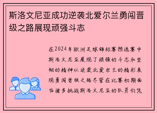 斯洛文尼亚成功逆袭北爱尔兰勇闯晋级之路展现顽强斗志
